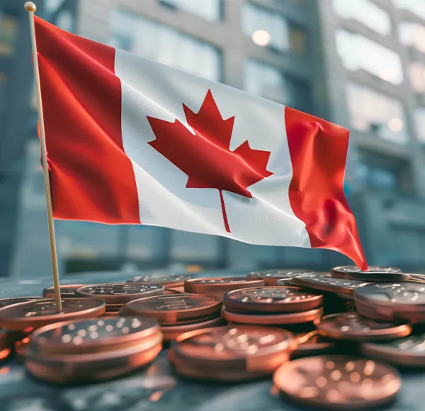 Foreign Exchange Businesses